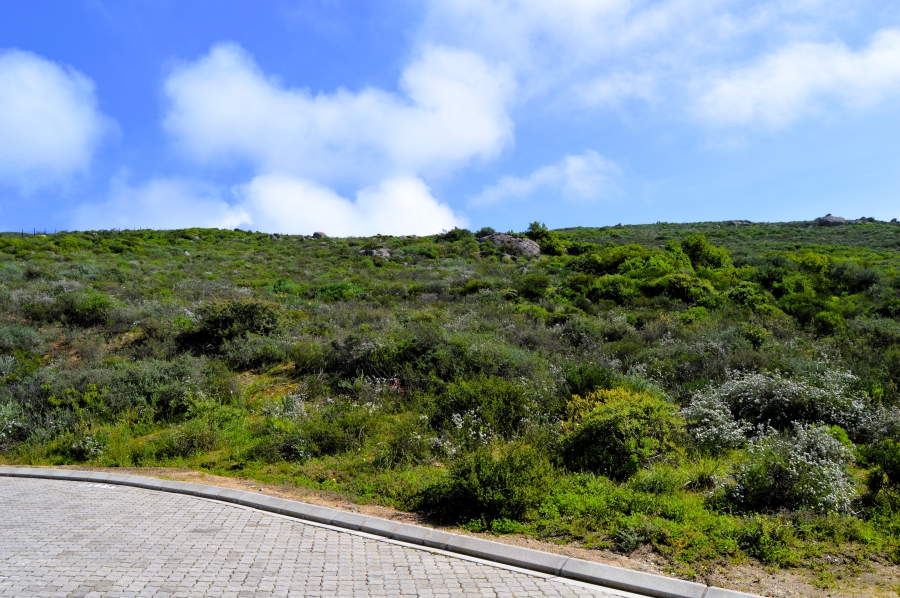 0 Bedroom Property for Sale in St Helena Views Western Cape